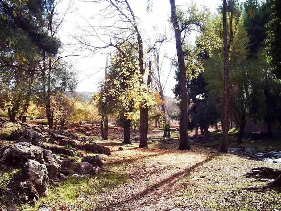 Chalet Asmoun 2 Imouzzer du Kandar Zewnętrze zdjęcie